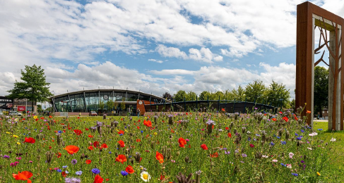 Station in de gemeente Best