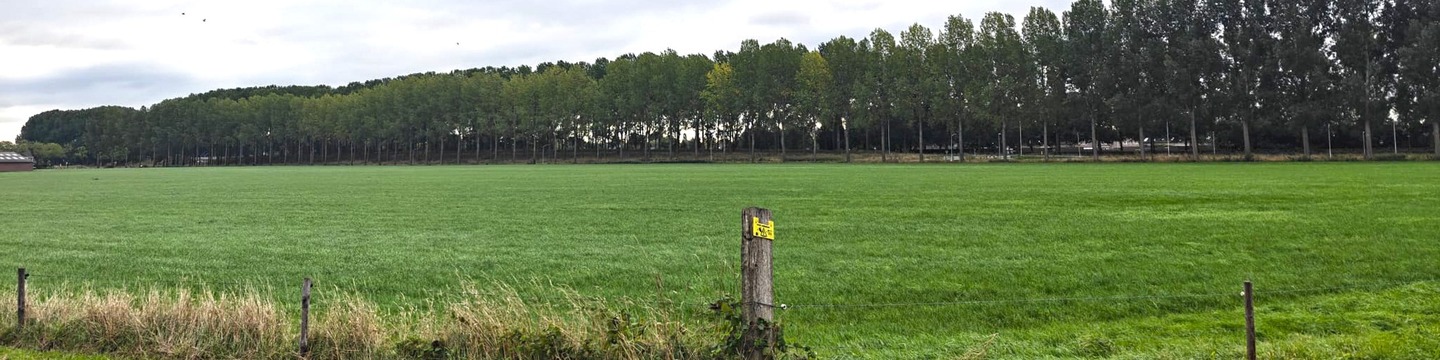 sfeerbeeld Steegsche Velden