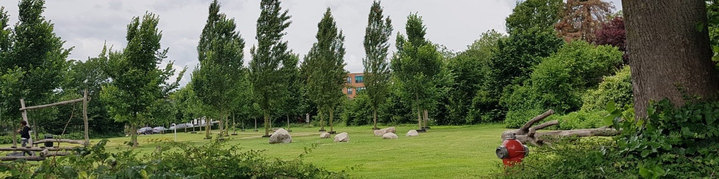 Foto van de plek Leeuwerik 