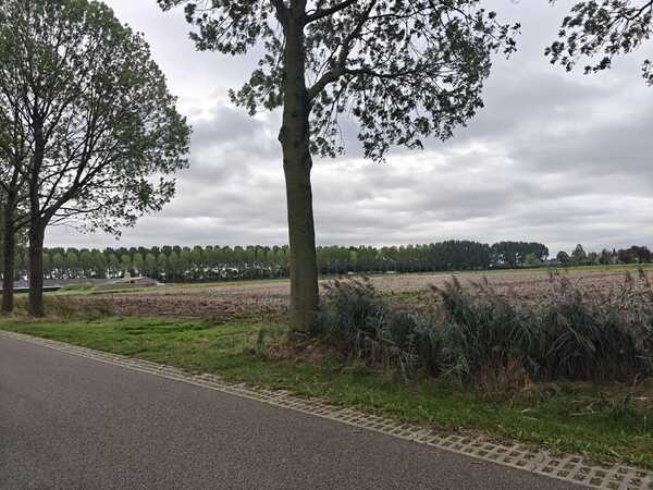 sfeerbeeld Steegsche Velden